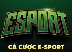 Cá Cược Thể Thao Điện Tử J88 Rinh Thưởng Bạc Tỷ