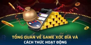 Cao Thủ Chia Sẻ Mẹo Chơi Xóc Đĩa Tại J88 Trăm Trận Trăm Thắng